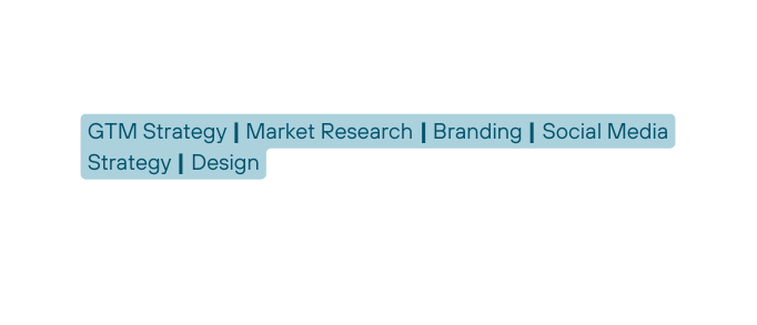 GTM Strategy Market Research Branding Social Media Strategy Design
